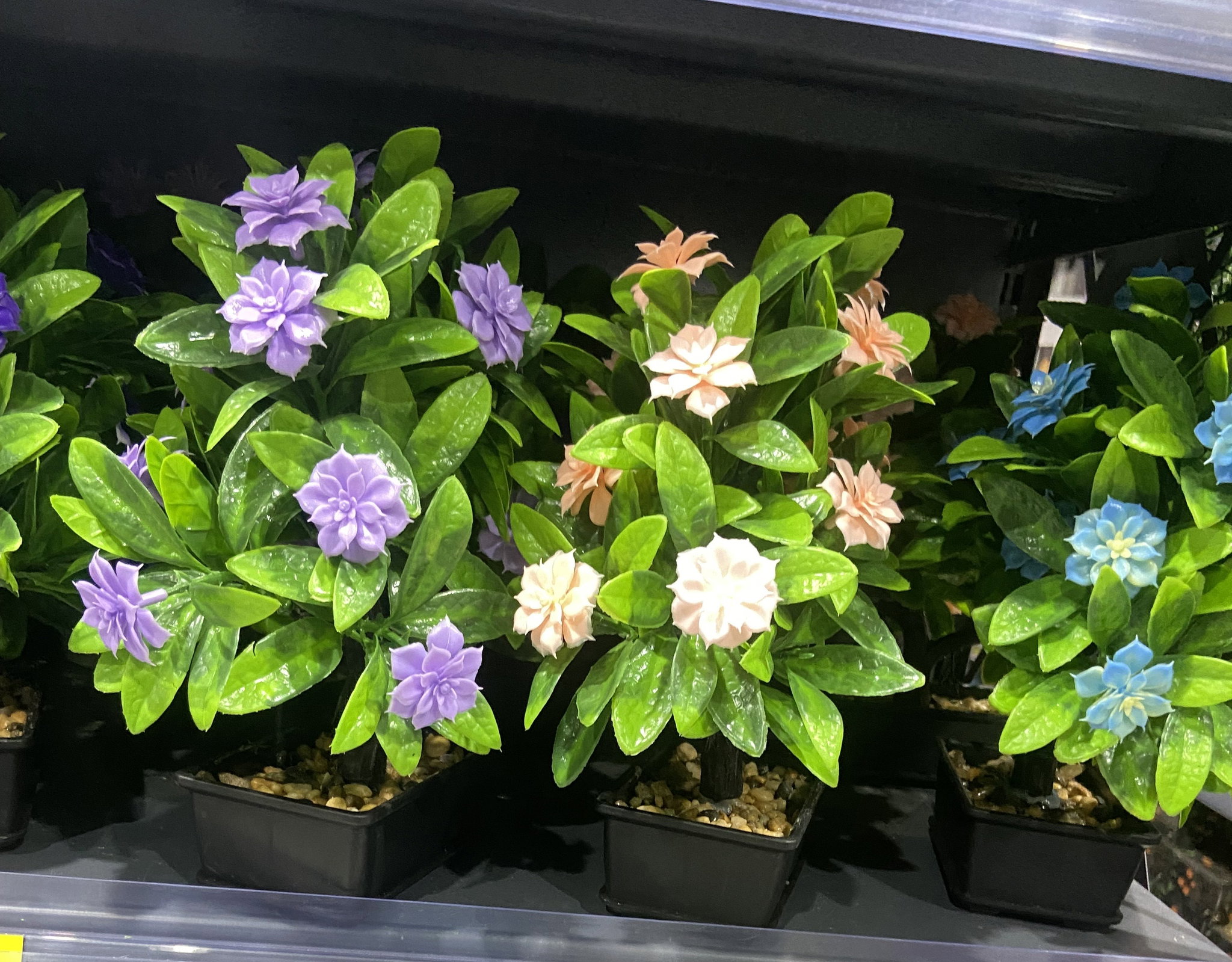 🌿 Mini Arbuste Fleuri – Couleurs Douces & Élégance Naturelle 🌸_1