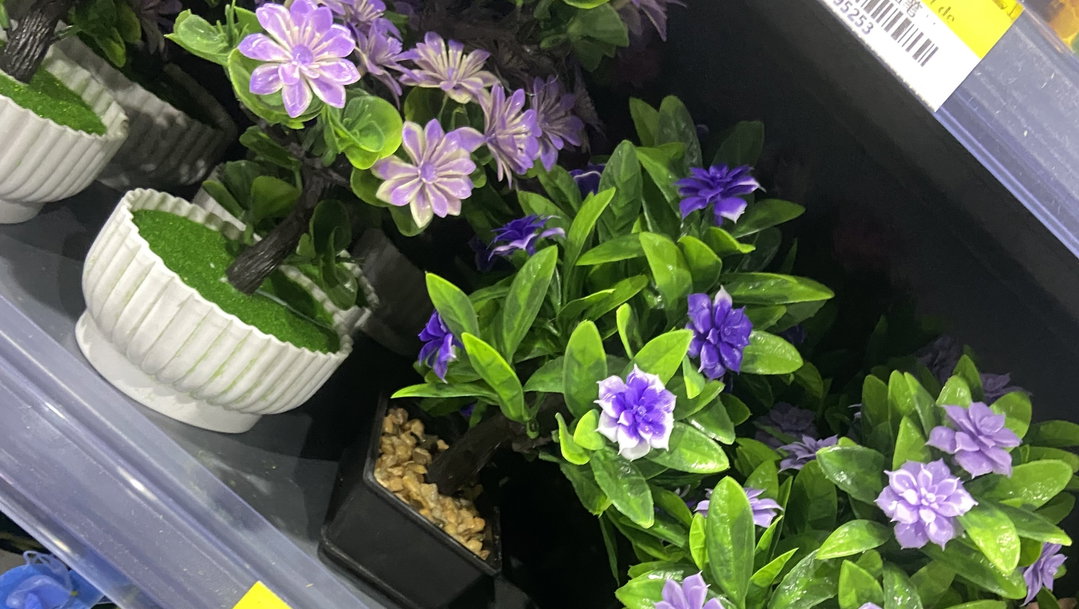 🌿 Mini Arbuste Fleuri – Couleurs Douces & Élégance Naturelle 🌸