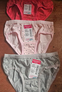 Lot de 3 Slips Petite Fille 