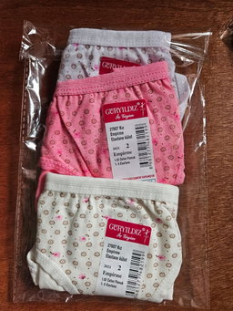Lot de 3 Slips Petite Fille 