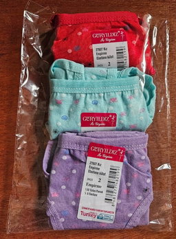 Lot de 3 Slips Petite Fille 