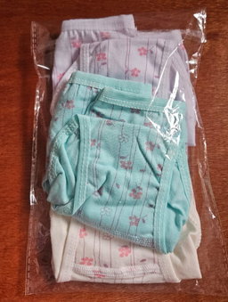 Lot de 3 Slips Petite Fille 