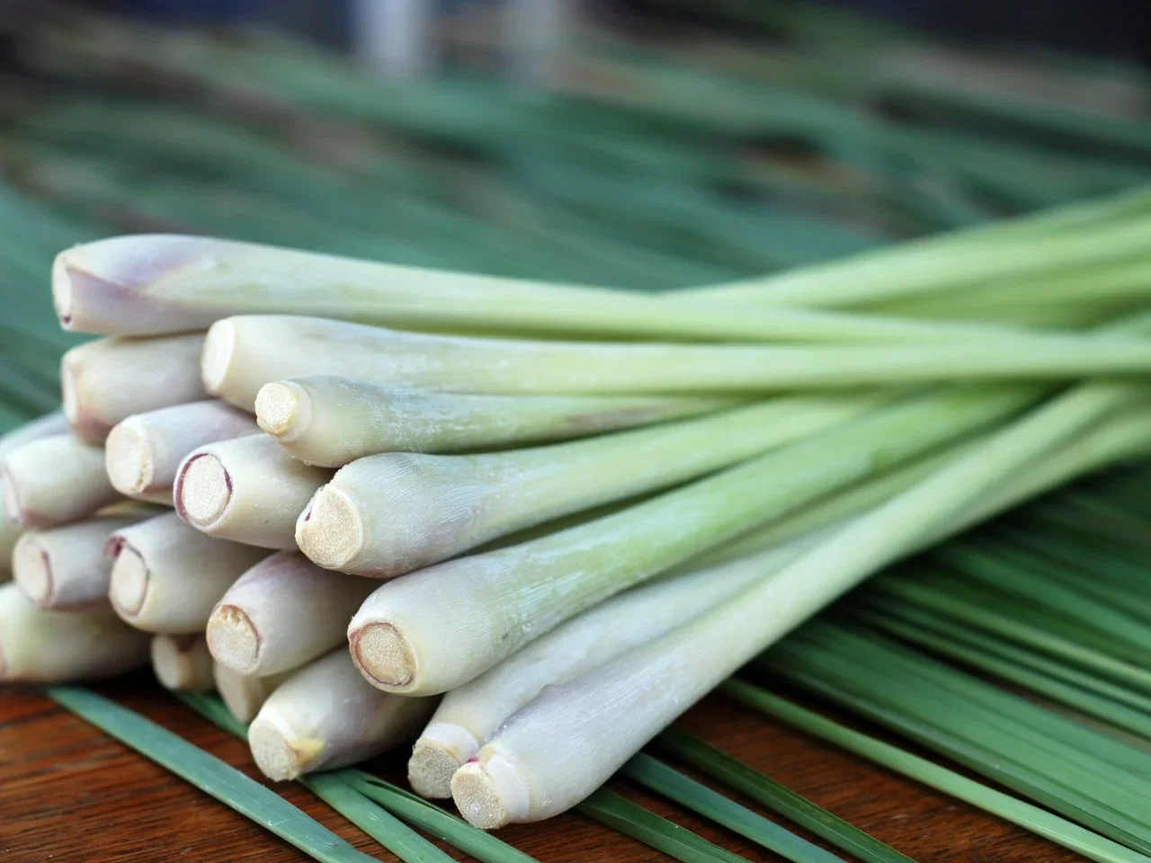 Lemongrass_0