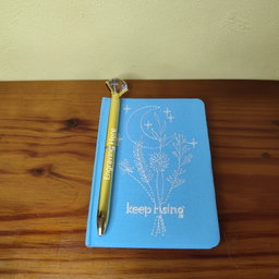 Mini Diary (Keep Rising)