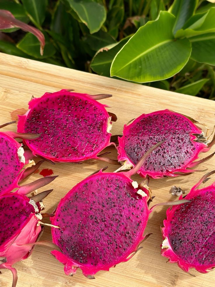 Pitahaya | Pink Dragonfruit_1