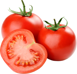 Vegetable