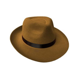 Fedora