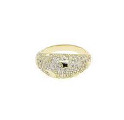Galactic ring 