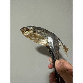 Dehydrated Kuning Fish