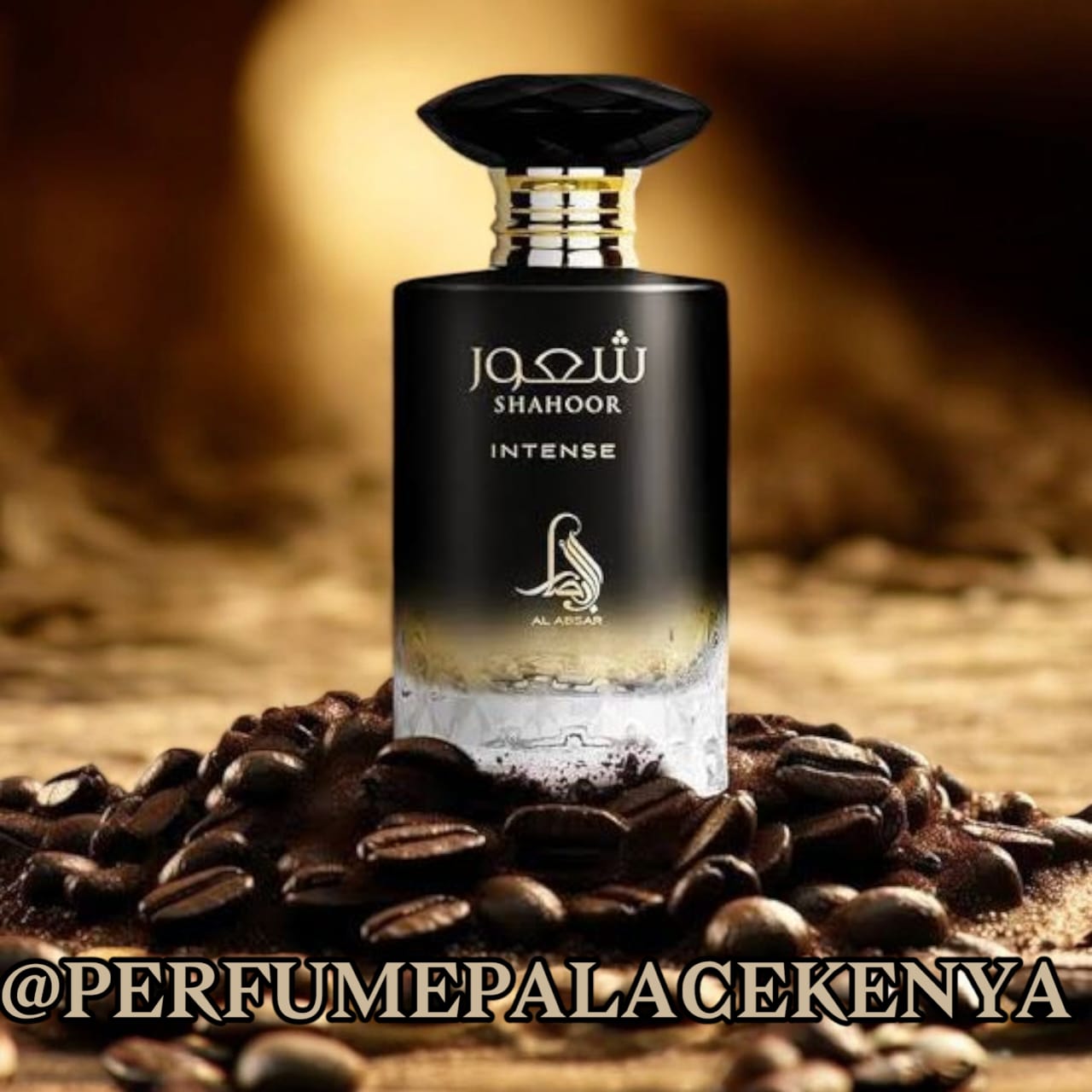 SHAHOOR INTENSE_0