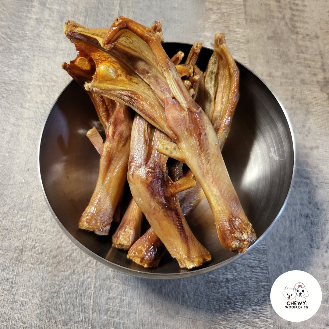 Dehydrated Chewy Duck Feet_0