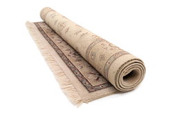 Roll Carpet (5x8)