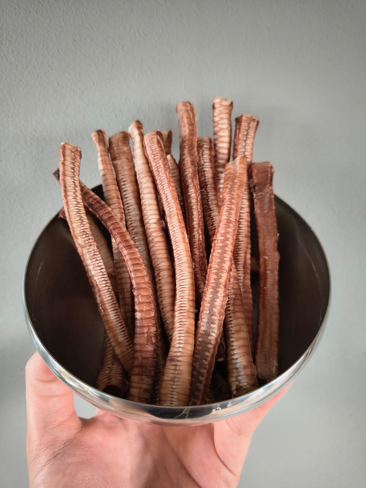 Dehydrated Duck Trachea_0