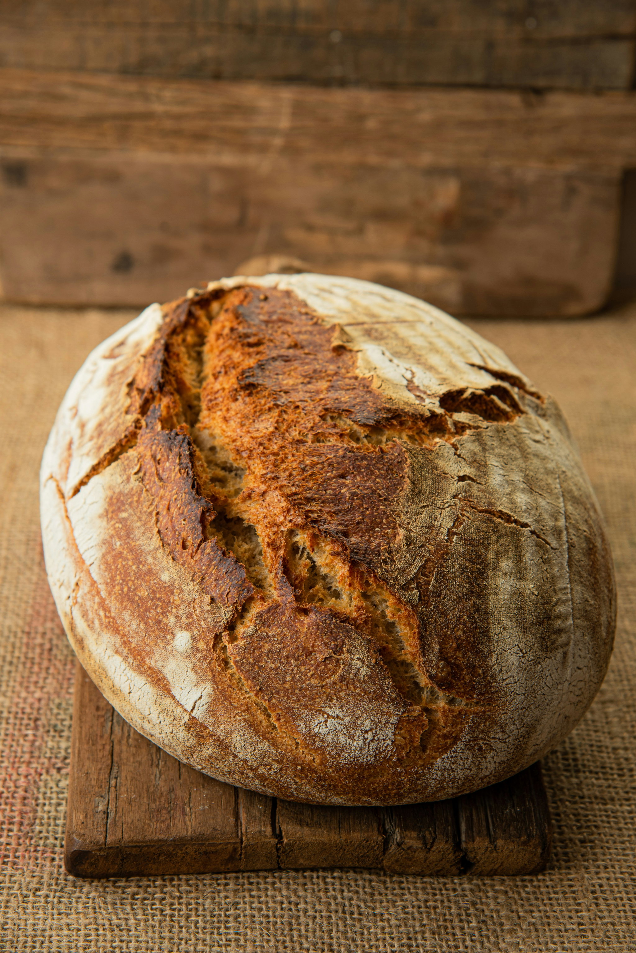 [Sample] Artisan Bread_0