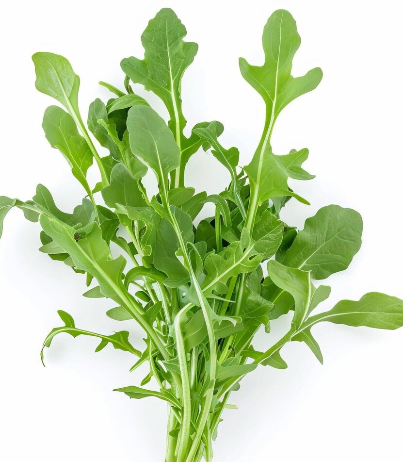 Roquette