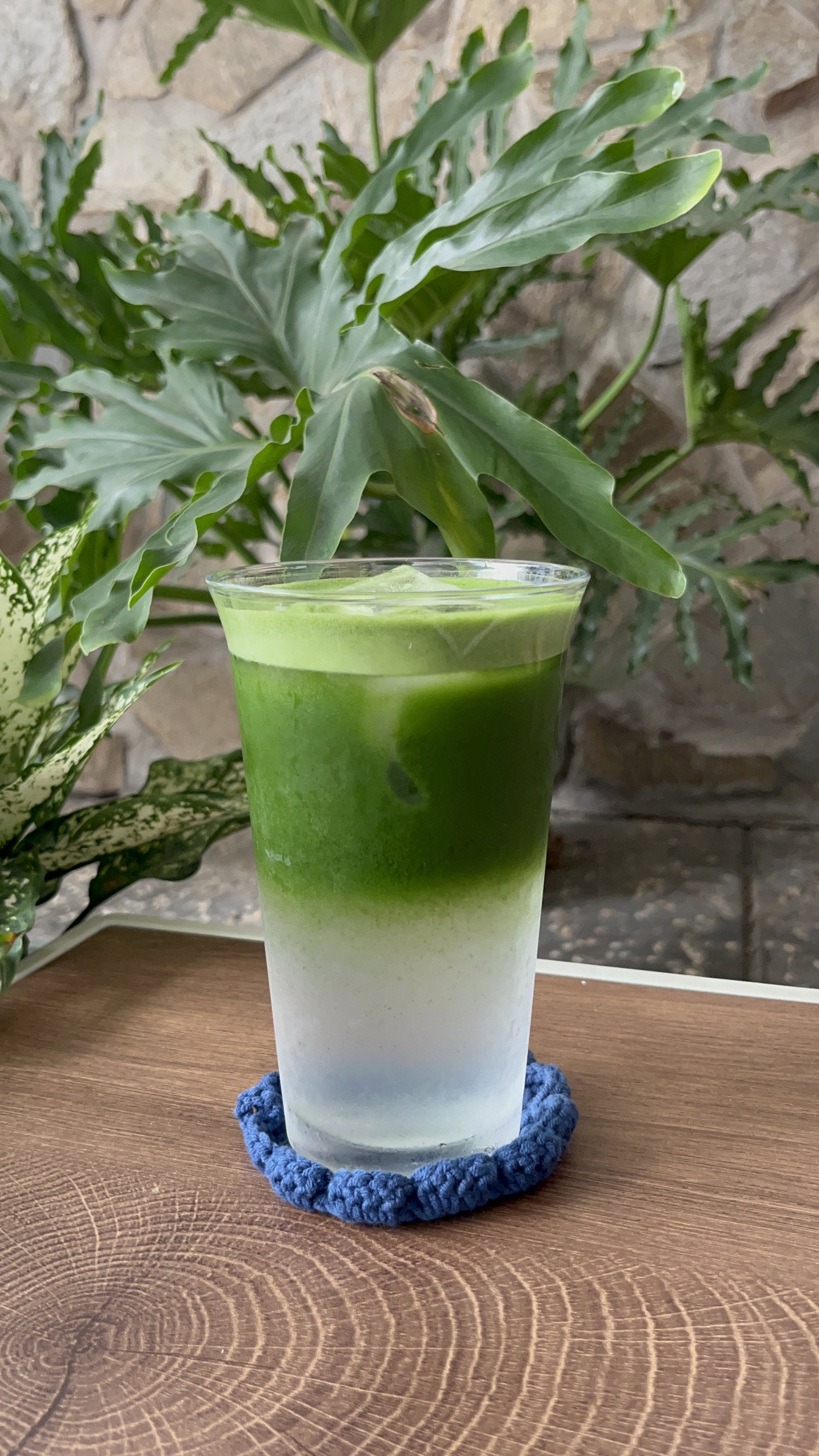 USUCHA COCO _1