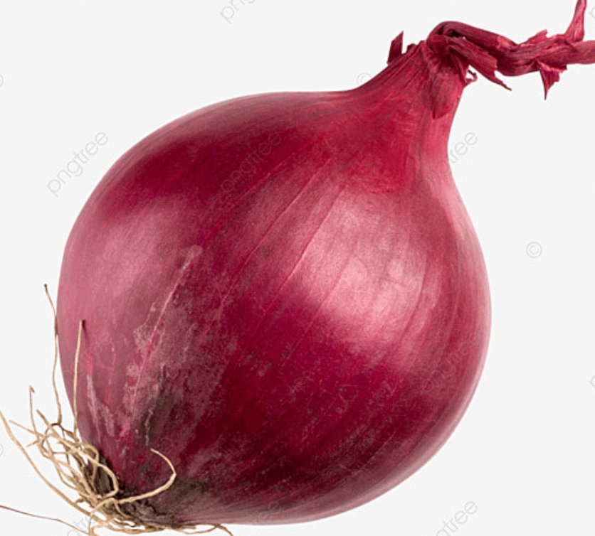 Oignons_1
