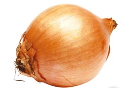 Oignons