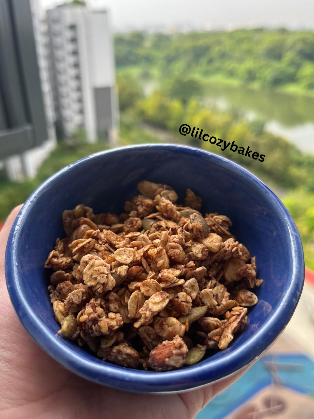 Cinnamon Granola_0