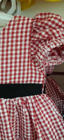 DARLINGS Red Check Dress