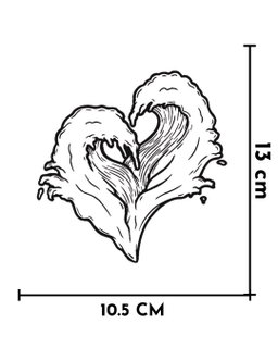 Corazon de ola