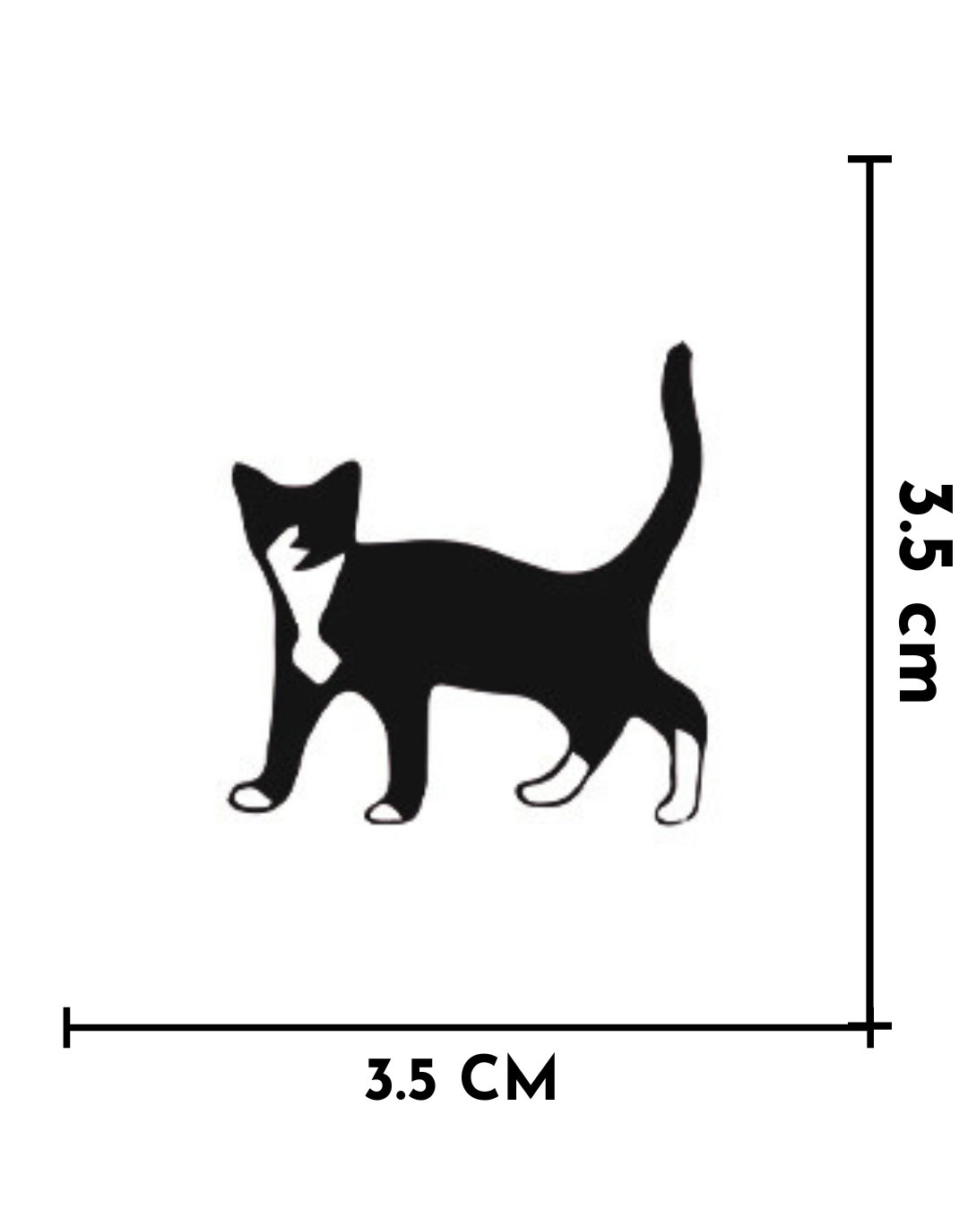 Gato_0