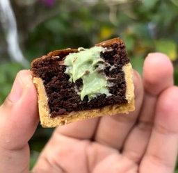 Brownies in Pod (Pistachio)