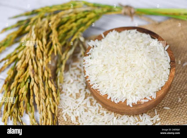 Rice