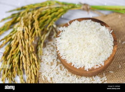 Rice