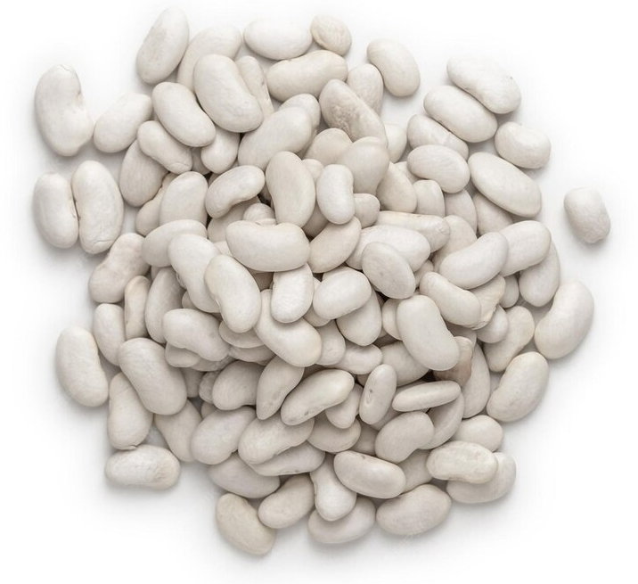 Haricots blancs