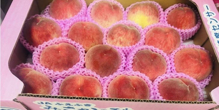 Japan Yamanashi Peach - 2 Pieces