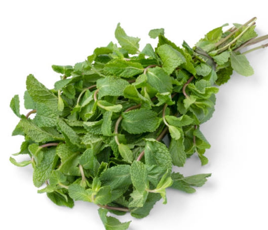 Menthe bouquet