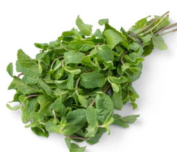 Menthe bouquet