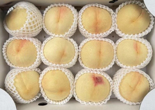 Japan Nagano Golden Peach 