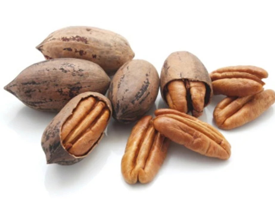 Noix de pecan avec coque