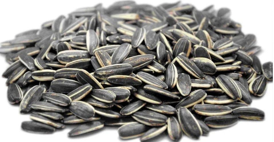 Pépites tournesol salées 