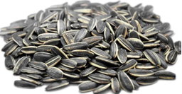 Pépites tournesol salées 