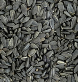 Pépites noires salées 