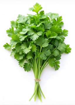 Légume frais 