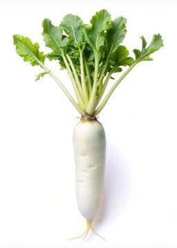 Légume frais 
