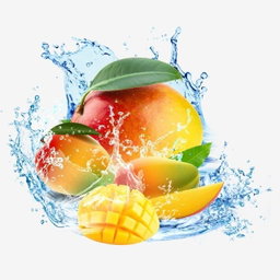 Mangue Kent