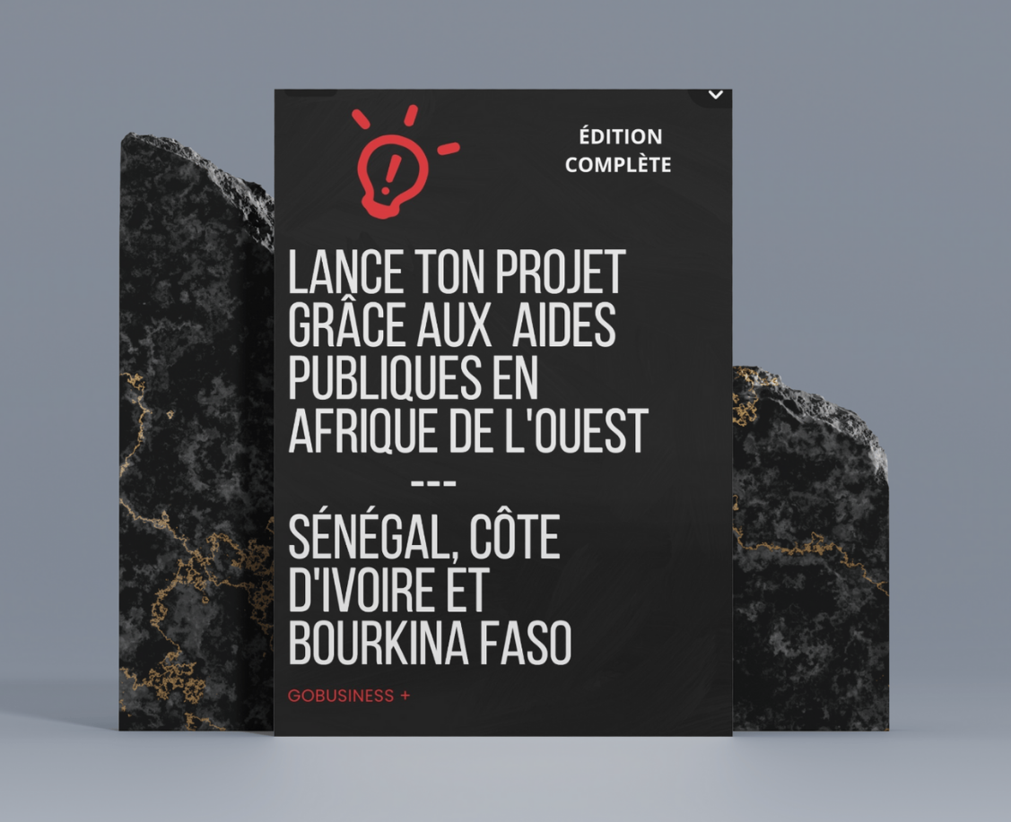 Lance ton projet grâce aux aides publiques en Afrique de l'Ouest ( Sénégal, Côte d'Ivoire et Bourkina Faso) _0