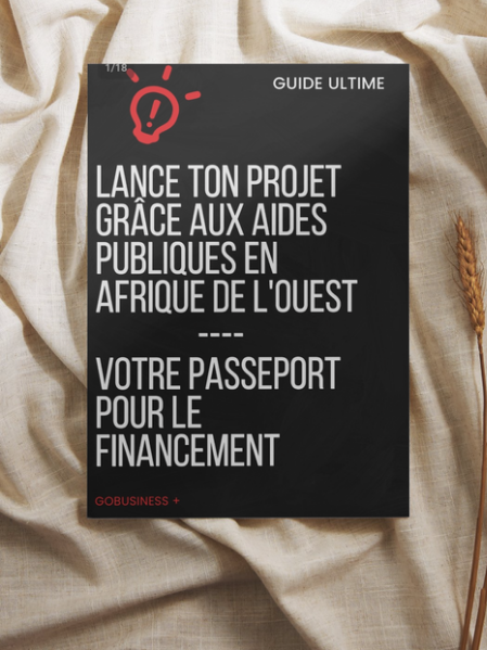 Lance ton projet grâce aux aides publiques en Afrique de l'Ouest (GRATUIT) _0