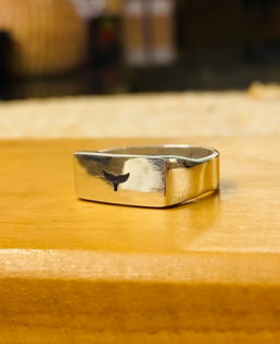 Anillo Class