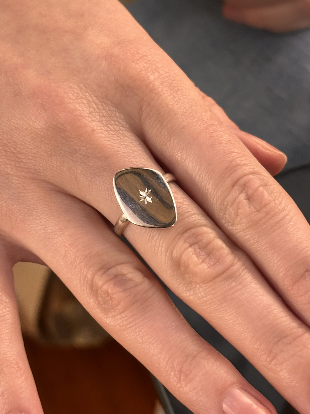 Anillo Vik