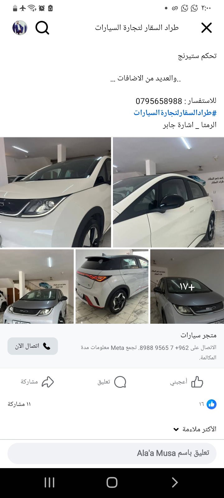 Byd dolphin 