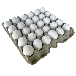 Cartón de huevos blancos 