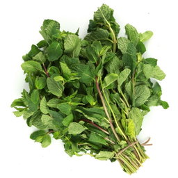 Mint(Fudhinu)