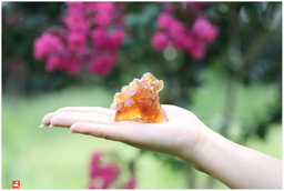 Ancient Crystal Rock Sugar | Jiujigong + Singapore
