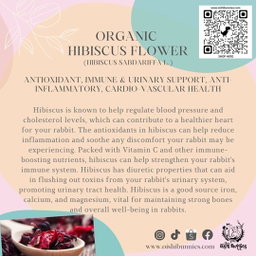 Premium Organic Herbs